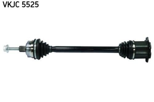 SKF-VKJC5525.jpg