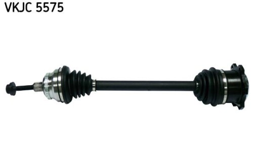 SKF-VKJC5575.jpg