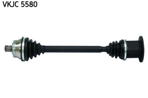 SKF-VKJC5580.jpg