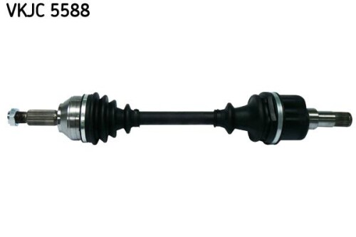 SKF-VKJC5588.jpg