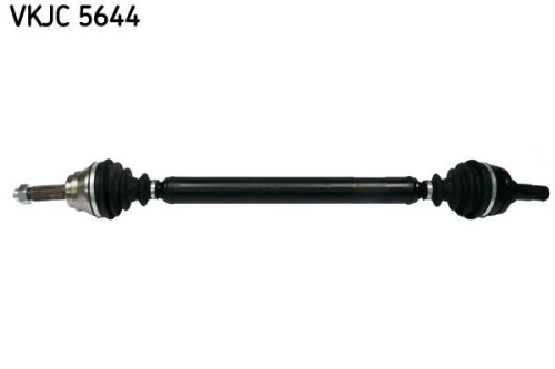 SKF-VKJC5644.jpg