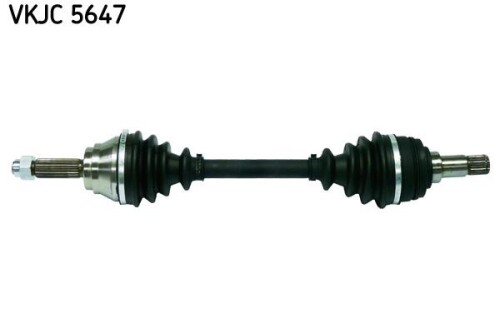 SKF-VKJC5647.jpg