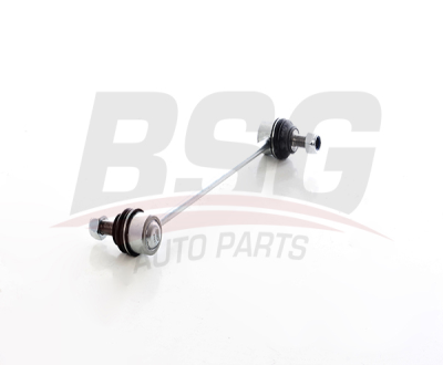 BSG-60-310-301.png