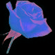 t1_1663096437793.jpg