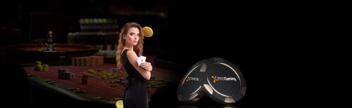 xpro-gaming.jpg