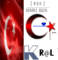 KRAL-FLASH-NIK-1.gif
