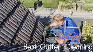 BestGutterCleanerNearMe.jpg