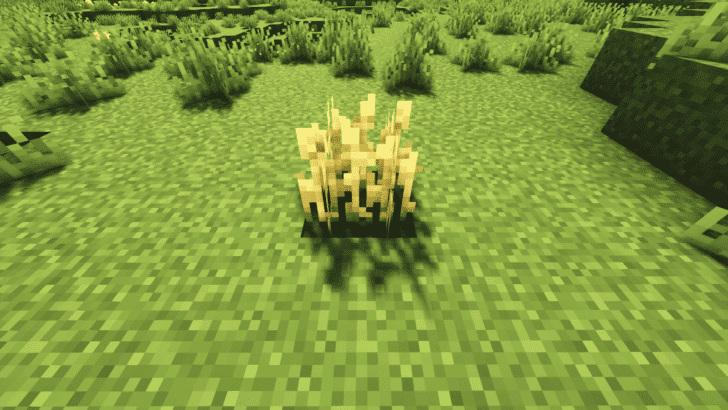 2eacfa4d5484761ce.png