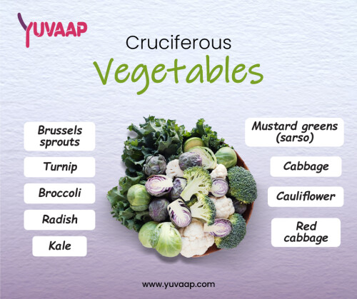 Cruciferous Vegetables are a group of plants that belong to the family Brassicaceae, also known as the crucifer family. Cruciferous vegetables are known for their high nutritional value and potential health benefits due to their unique phytochemicals, vitamins, and minerals.
https://www.yuvaap.com/blogs/importance-of-cruciferous-vegetables/