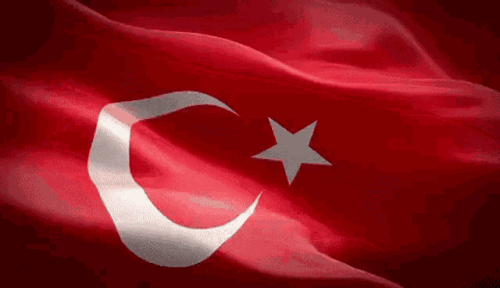 turkey-turk.gif