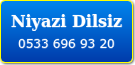 Niyazi03fcc2c7bfd78065.png