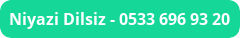 button_niyazi-dilsiz.png