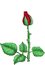 gul-hareketli-resim-0045.gif