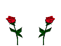 cicek-hareketli-resim-0044.gif