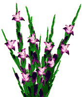 cicek-hareketli-resim-0042---Kopya.gif