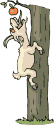 keci-hareketli-resim-0010.gif
