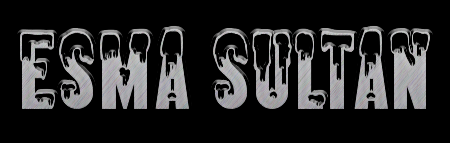 SLTAN.png