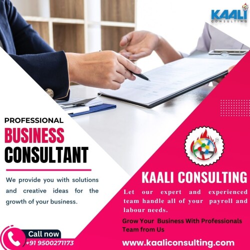 Kaali Consulting business consultancy in chennai