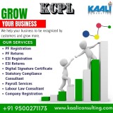 Kaaliconsulting-Grow-your-business