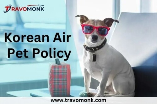 There are a few Korean Air pet travel requirements that must be satisfied before bringing a pet on a Korean Air flight. The prerequisites for travelling with pets on Korean Air include meeting the airline's pet policy and having all the required paperwork and vaccinations for your pet.
Website: https://www.travomonk.com/pet-policy/korean-air-pet-policy/