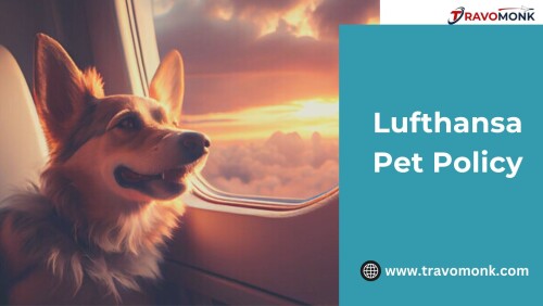 Everything you need to know about a Lufthansa approved pet carrier for your pet when flying with Lufthansa is covered in this post. You'll discover the necessary size specifications, the materials, and other vital factors.

Website: https://www.travomonk.com/pet-policy/lufthansa-pet-policy/