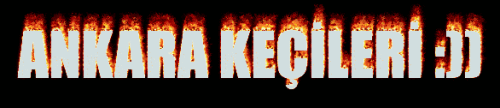 coollogo_com-2014324.gif