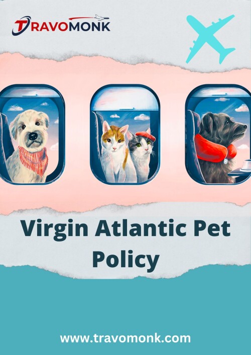 Virgin-Atlantic-Pet-Policy.jpg