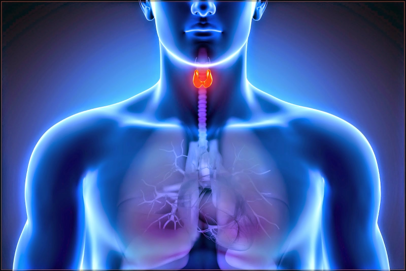 image25dcaa13c3bac45e.png