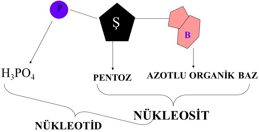 imageed1870d0b80b2db6.png