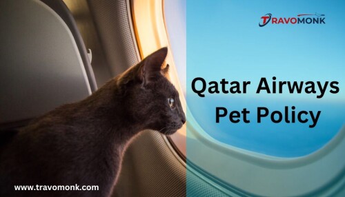 Qatar-Airways-Pet-Policy.jpg