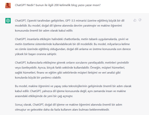 chat-gpt-nedir.png