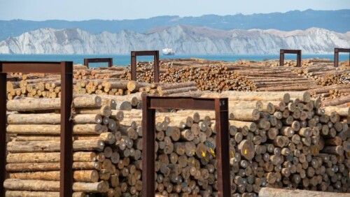 Timber-Suppliers-Christchurch.jpg