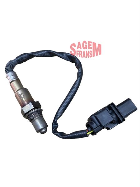 SGM-11222.jpg