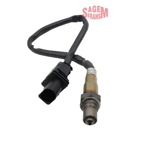 SGM-11223.jpg