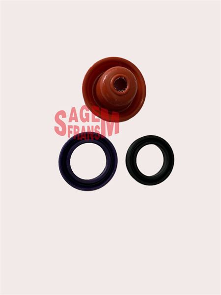 SGM-210218.jpg