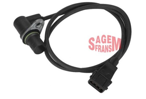 SGM-50227.jpg