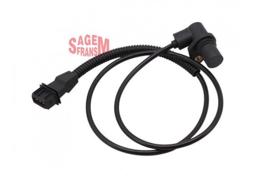 SGM-50229.jpg