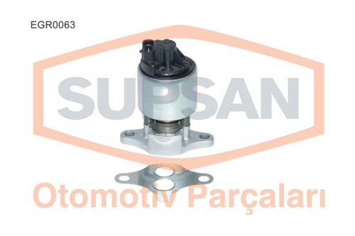 SUPSAN-EGR0063.jpg