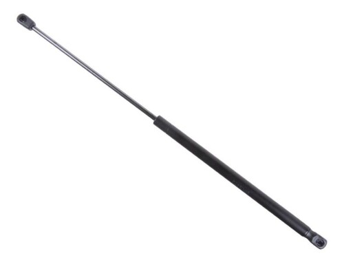 YTT-Y120844.jpg