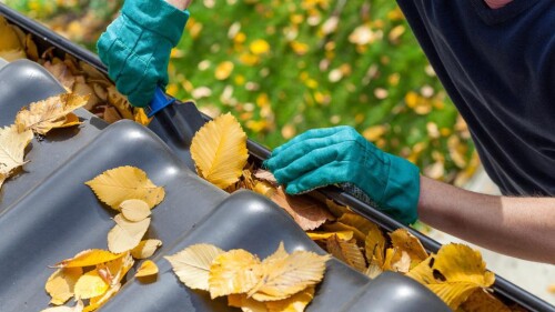 Don't wander and there if you are looking for commercial gutter cleaning in Gold Coast. Then get in touch with us. Gcgutters.com.au has experts that can provide you the quality service, whether it be residential, commercial, or industrial. Contact us at 492943013

https://gcgutters.com.au/commercial-gutter-cleaning/