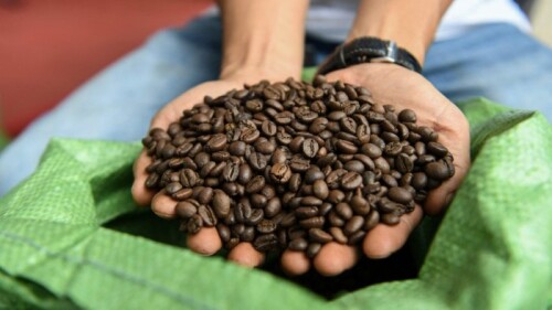 Get-the-Best-Quality-of-Robusta-Coffee-Beans-Online.jpg