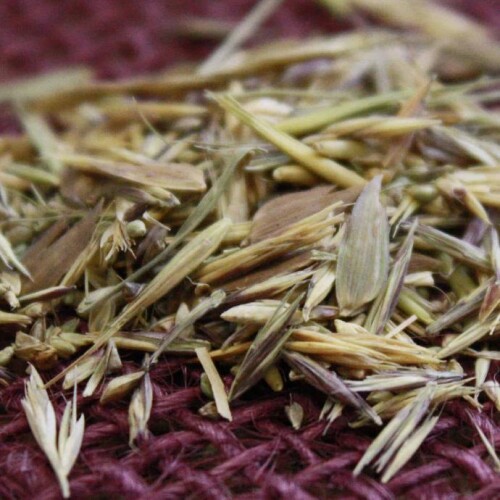 Kings-Shade-Tolerant-Native-Grass-Mix.jpg
