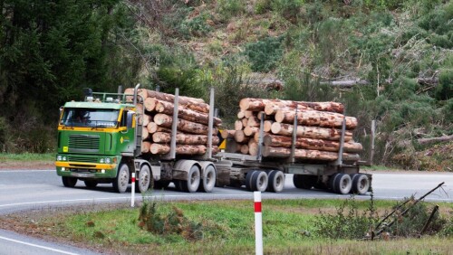 Foret New Zealand is a family-owned Timber Suppliers Christchurch company around Fiji and New Zealand in personal service and quality products. For more information visit www.foret.nz

https://www.foret.nz/
