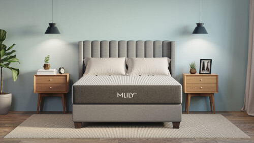 Fusion-Ortho_Bedroom-View_Low-Resolution_1.jpg