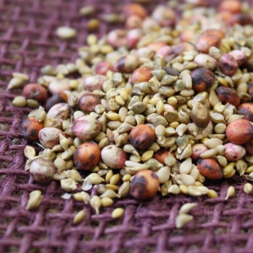 South-Texas-Dove-and-quail-Mix.jpg