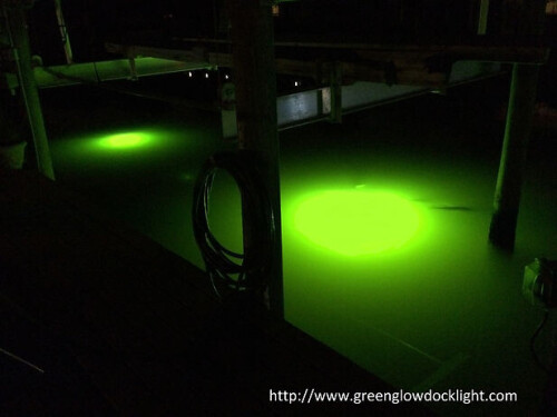 Searching for LED underwater lights? Greenglowdocklight.com is a prominent place that provides you with a wide range of underwater lights, snook lights, boat lights, fishing lights and more at a competitive price. Visit our site for more info.

https://www.greenglowdocklight.com/