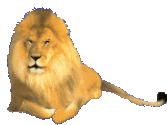 aslan-hareketli-resim-0104.gif