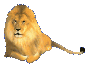 aslan-hareketli-resim-0104.gif