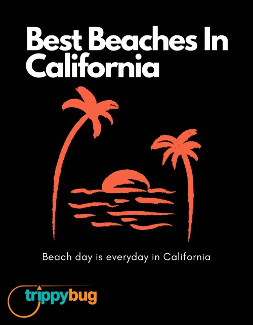 Best Beaches In California