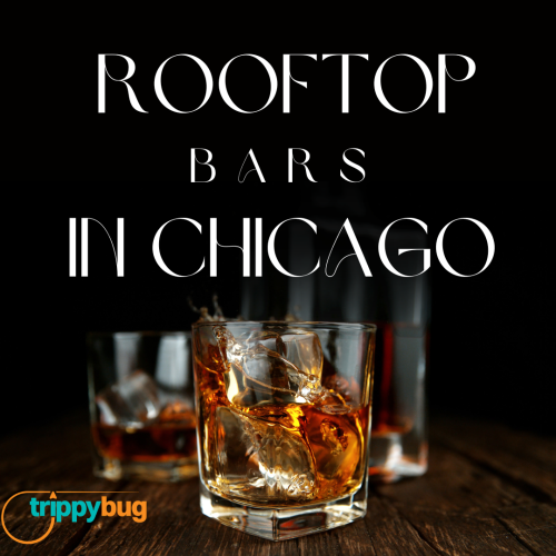 Rooftop Bars Chicago